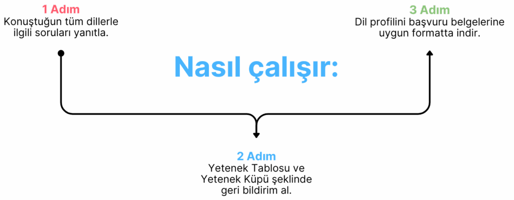 MARE Değerlendirme Aracının şematik gösterimi.
1 Adım
Konuştuğun tüm dillerle ilgili soruları yanıtla.

2 Adım
Yetenek Tablosu ve Yetenek Küpü şeklinde geri bildirim al.

3 Adım
Dil profilini başvuru belgelerine uygun formatta indir.